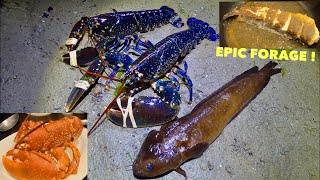 AMAZING NIGHT FORAGE - Big Lobster , Rockling , Flatfish ! Catch clean cook