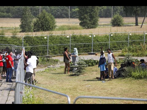 Video: Ar vienkartinės pirštinės turėtų būti laisvos?