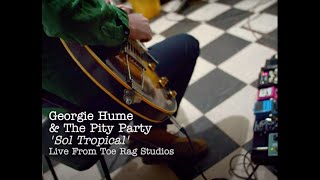 Georgie Hume The Pity Party - Sol Tropical Live from Toe Rag Studios