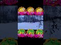 «Очевидное-Невероятное»