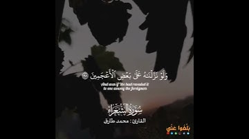 وإنه لتنزيل رب العالمين - القارئ محمد طارق