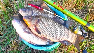 CARP SHOVELS do not climb into the bucket!!! Fishing on a float in the spring