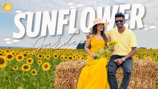 Pick your own sunflower | Melbourne | Ballarat #sunflower #melbourne #trip