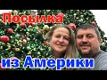 Стрим нам 6 месяцев в YouTube / Посылка из Costco для ТЕБЯ?