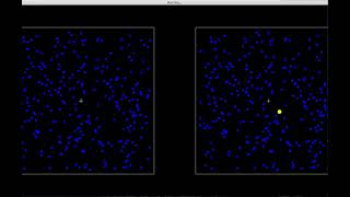 Flash Suppression Demo