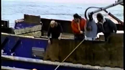 THE ORIGINAL LIFESLING VIDEO