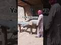 ya Kya Howa 😱 say machine crash hogyi #viralvideo #wood #say #machine #shorts #trending #woodworking