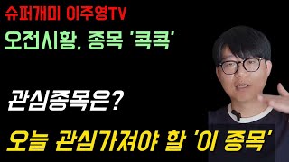 오전시황 종목 '콕콕', 오늘 관심 가져야 할 '이 종목'
