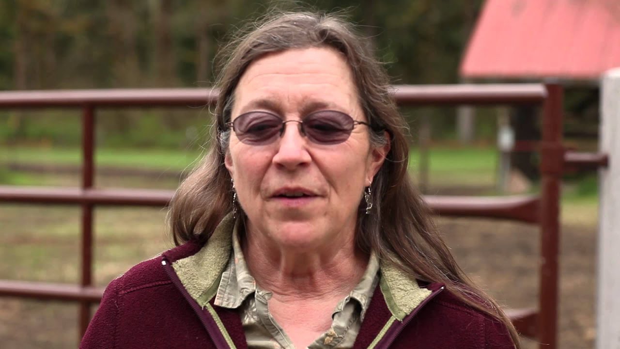 Laura Ruderman On The Buffett Rule - YouTube