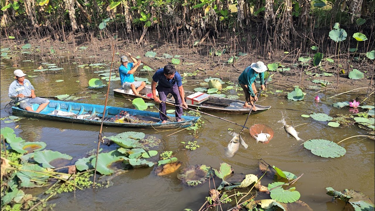 Đi kích cá gặp 2 kích thủ lên hàng khủng liên tục trong vuông sen | kích cá