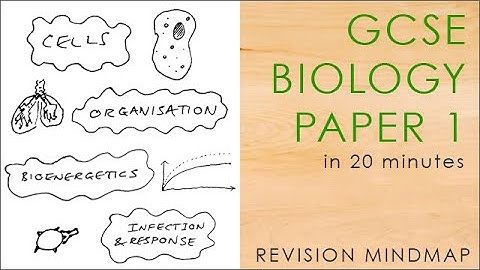 All of BIOLOGY PAPER 1 in 20 mins - GCSE Science Revision Mindmap 9-1 AQA