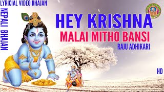 Hey Krishna Malai Mitho Bamsi Lyrical Video - Raju Adhikari Nepali Bhajan || Srd Bhakti Bhajan