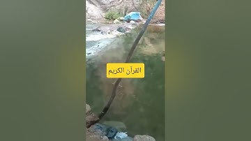 القرآن الكريم #المغرب #السعودية #العراق #الجزائر #القرآن_الكريم #اكسبلورر #لايك #راحة_نفسية #شعر