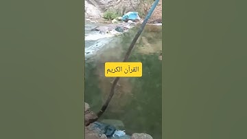 القرآن الكريم #المغرب #السعودية #العراق #الجزائر #القرآن_الكريم #اكسبلورر #لايك #راحة_نفسية #شعر