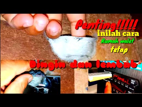 Video: Bagaimana Agar Tetap Dingin?