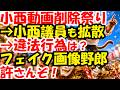 小西ひろゆき動画削除祭りで露見する、著作権軽視騒動。立憲民主党議員よ、れいわ新選組大石あきこレベルの愚行はやめるんだ!