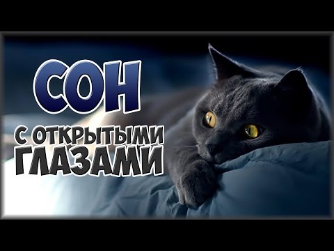 ВОЗМОЖЕН ЛИ СОН С ОТКРЫТЫМИ ГЛАЗАМИ?
