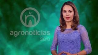 TITULARES AGRONOTICIAS sie7e PROGRAMA 10