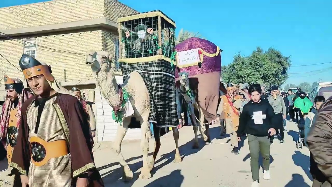 موكب ضعن ابي الفضل العباس اهالي العماره // دخول  الكوت 