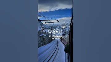 سورة الإخلاص تلاوة خاشعة بصوت شريف مصطفى
