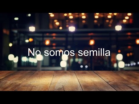 No somos semilla - Música Popular Cantinera