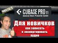 CUBASE 11 для новичков (Часть 1) - Настройка аудио, запись, экспорт