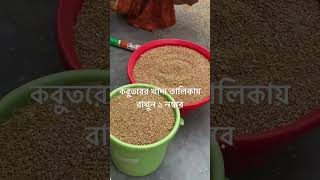 কবুতরের খাবার প্রস্তুতি চলছে| #kobutorerlalonpalon #kobutor #deshikobutor #viralvideo