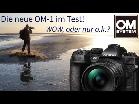Die neue OM-1 im Test