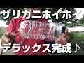 まだ間に合う！自由研究ザリガニ釣り♪