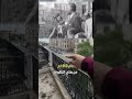 جمال عبد الناصر في حلب سوريا 