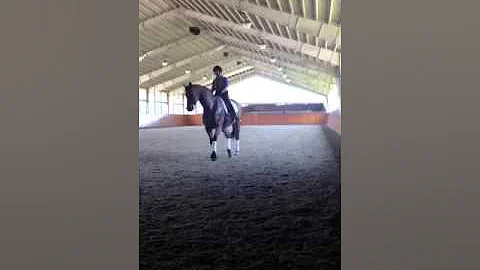 Carol Herron lesson with Chris Hickey
