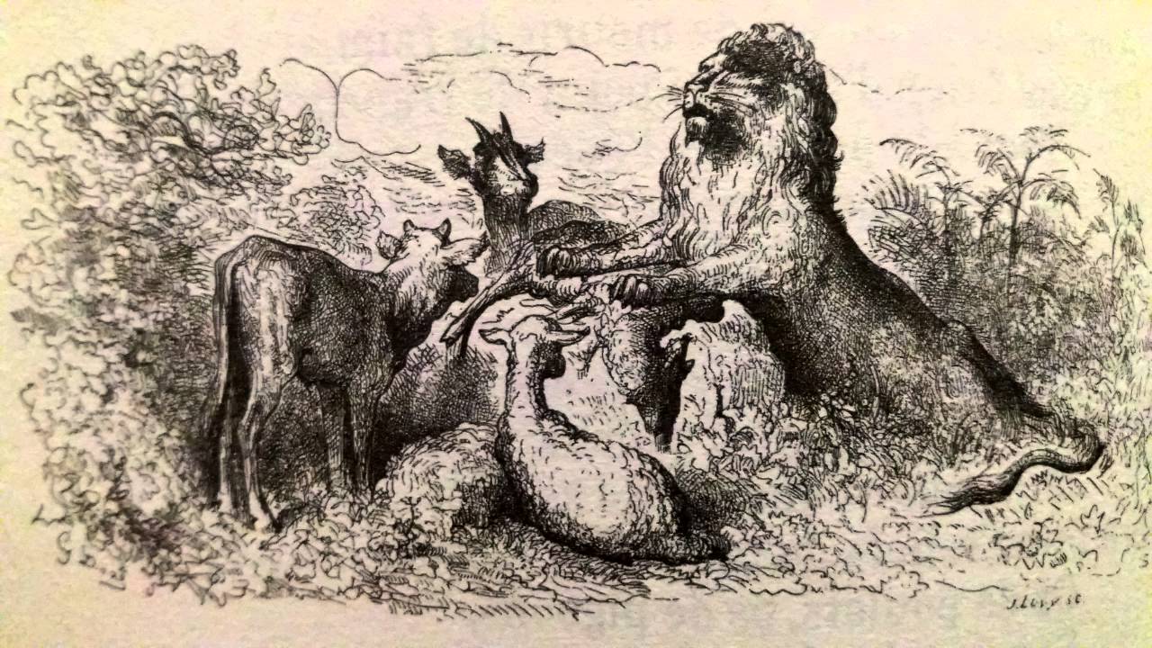 La Genisse La Chevre Et La Brebis