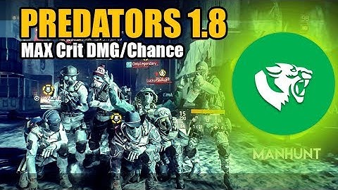 The Division | Best Predators Skirmish 9K stamina crit Build | DarkZone Solo/Squad Build Video