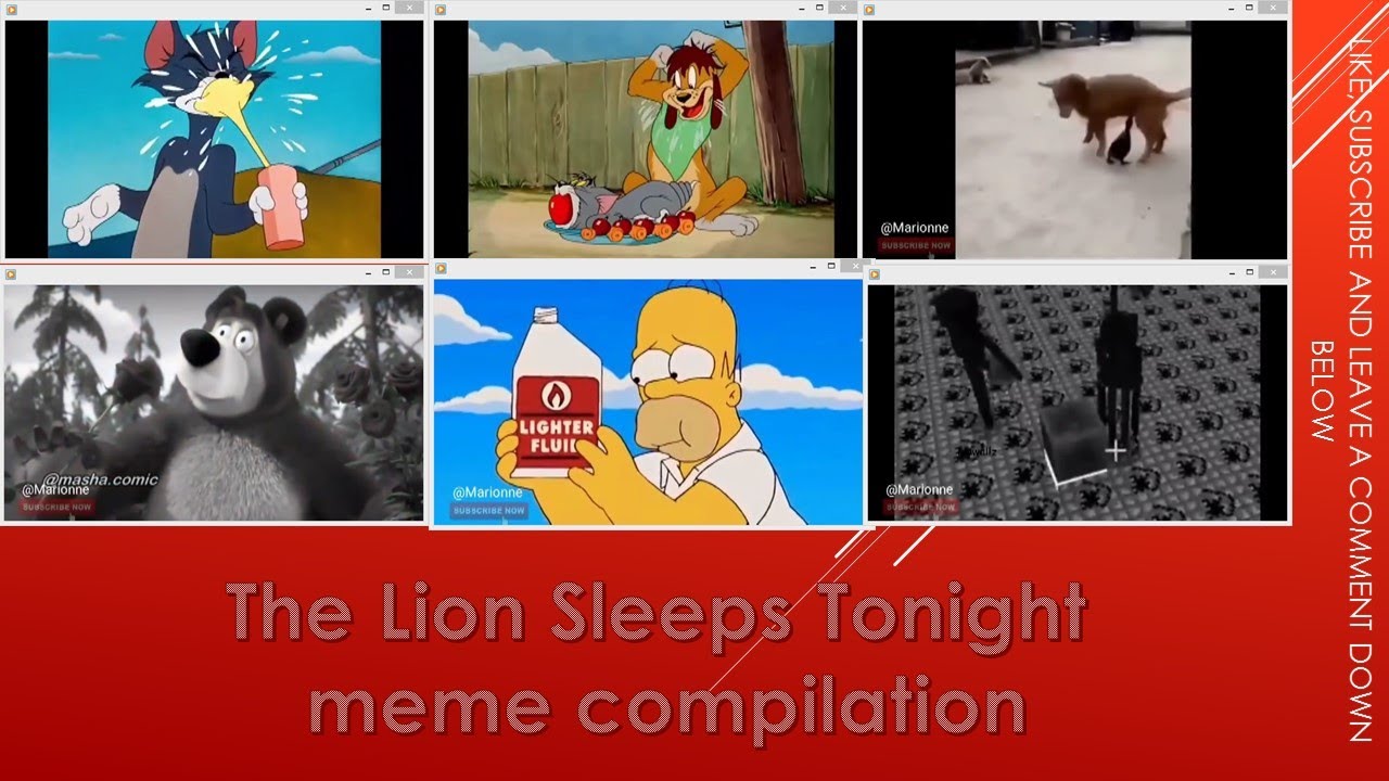 The Lion Sleeps Tonight meme compilation YouTube
