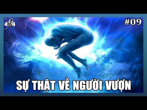 Video Hóa Ra Dạng Người Vượn Không Như Những Gì Chúng Ta Vẫn... - youtube