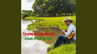 Video thumbnail of "Freiman Cardenas - Mi Desvelo"