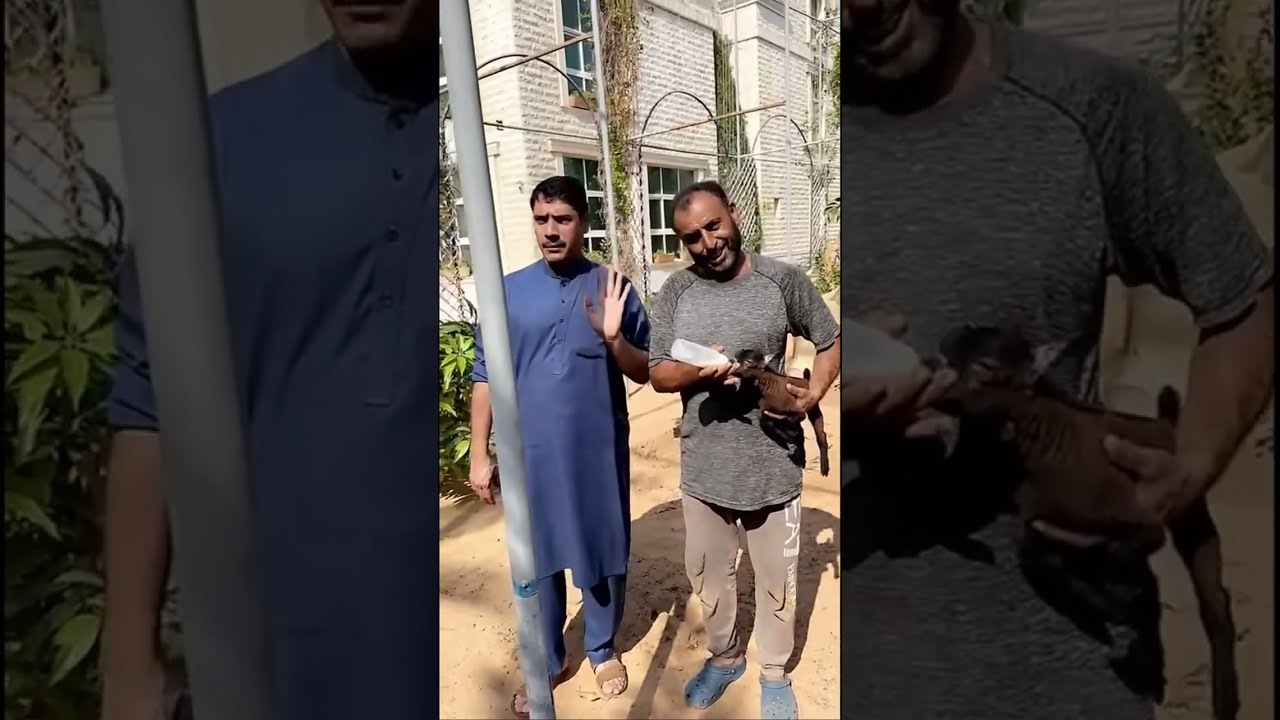 #خالد_الخالدي  يومياتي وسيرتي الى #الهند ويا أم عبدالله في رحلة فنانة ومواقف طريفة وجميلة 19-11-2023