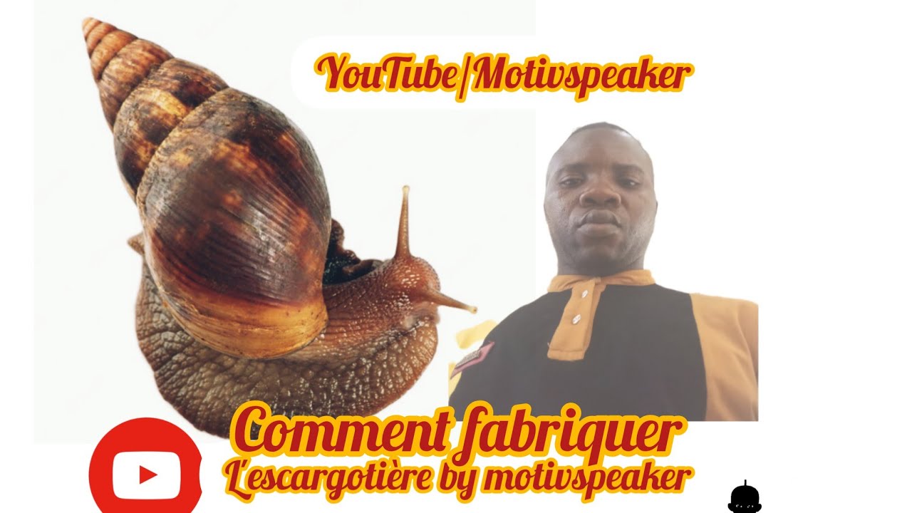 Comment fabriquer une escargotière? ( vol1)@investirsursoibymotivspeaker