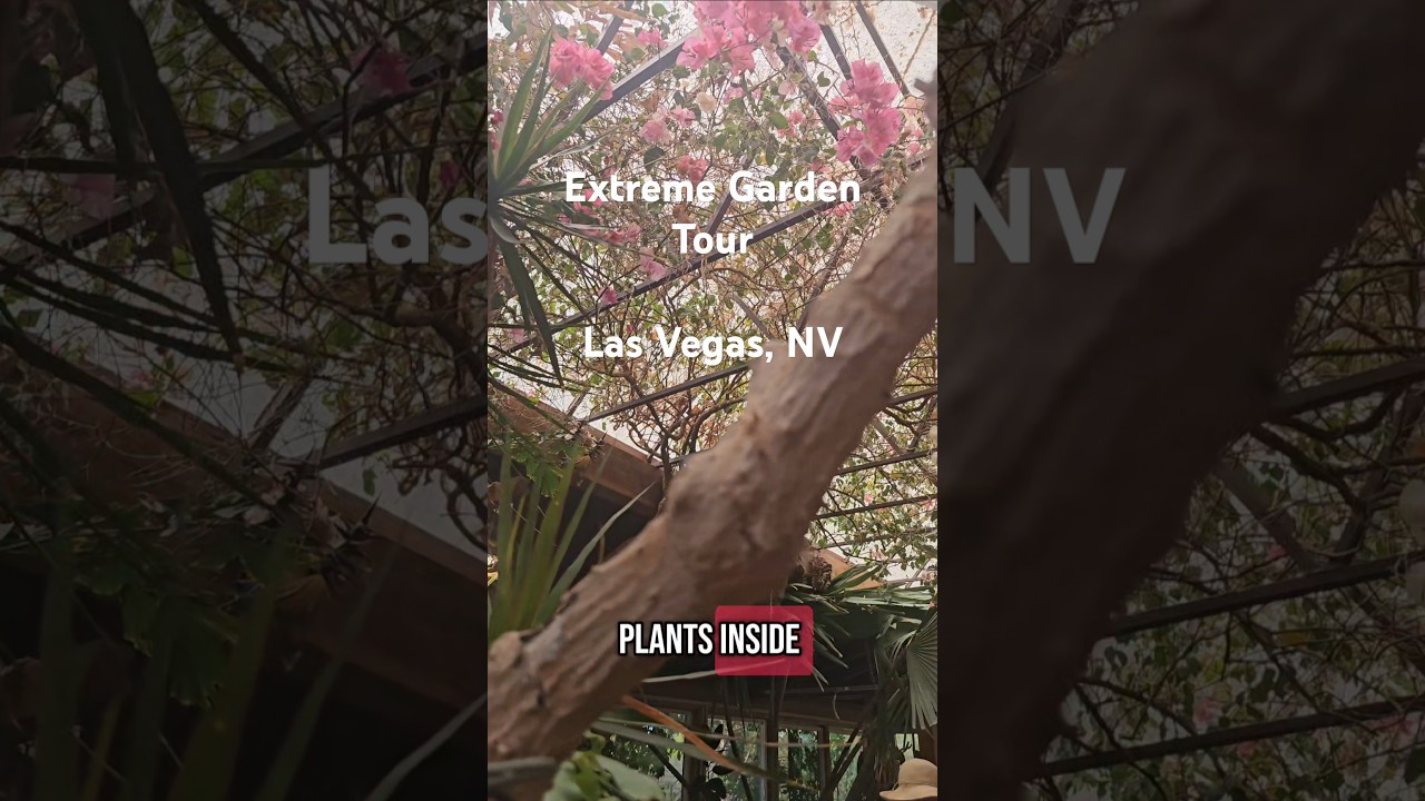 Garden Tour at Aaron Schave's Home 