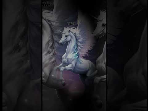 يقول المثل اذا نافسك الناس على الدنيا اتركها لهم وان نافسوك على الاخرة