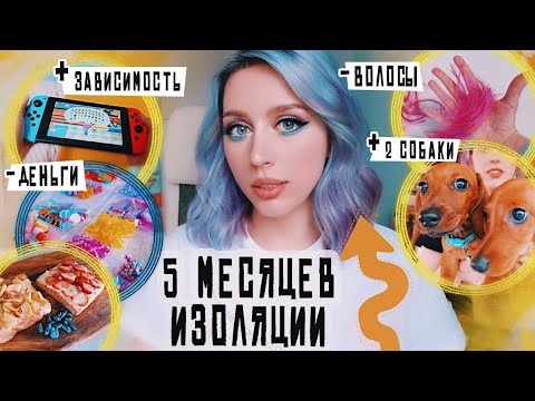 видео: Пережила КАРАНТИН VLOG / #МОЯНЕДЕЛЯ