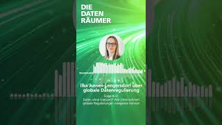 Jedes Unternehmen sollte eine Datenstrategie haben | Die Datenräumer #shorts #podcast