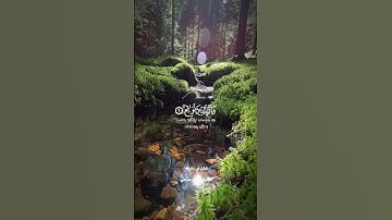 قران كريم ارح قلبك وسمعك #قران_في_دقيقة #quran #المصحف #قران #اسلام_صبحي @قران_في_دقيقة
