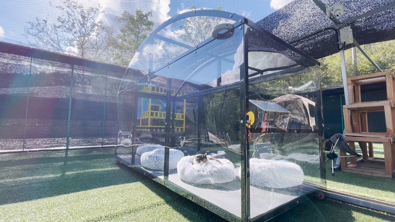 고양이용 썬룸 만들기