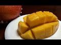 宮崎完熟マンゴー【JA宮崎】Miyazaki Mango