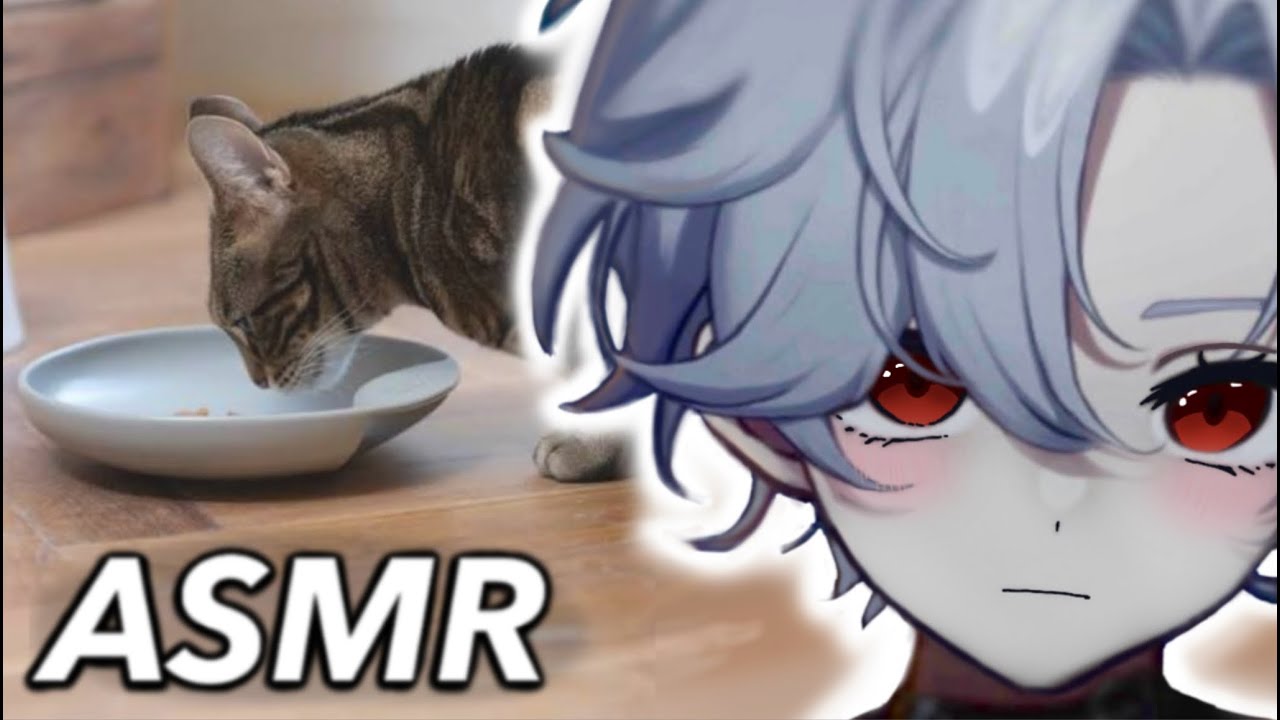 hungry e-kitten tummy gurgles ASMR
