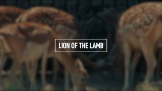Video thumbnail of "BETHEL MUSIC - Lion And The Lamb (Lyric Video)"