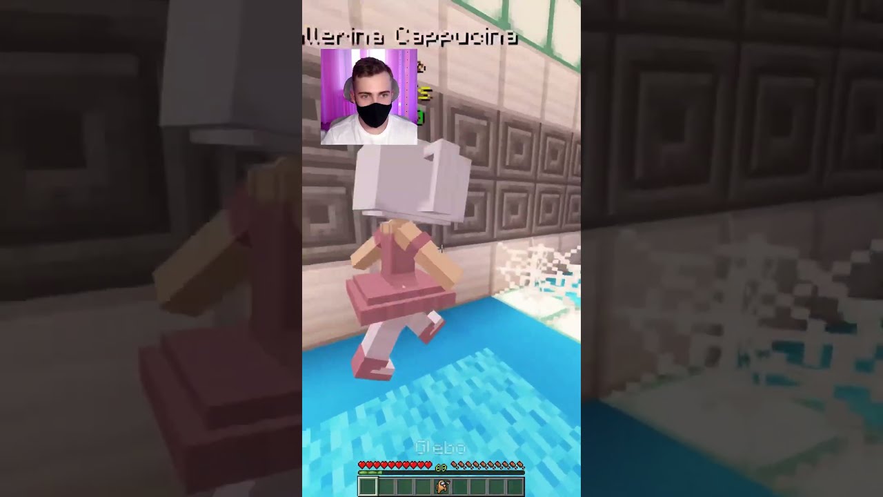 Do NoT CHeCk ThE SOuNd 529 Minecraft