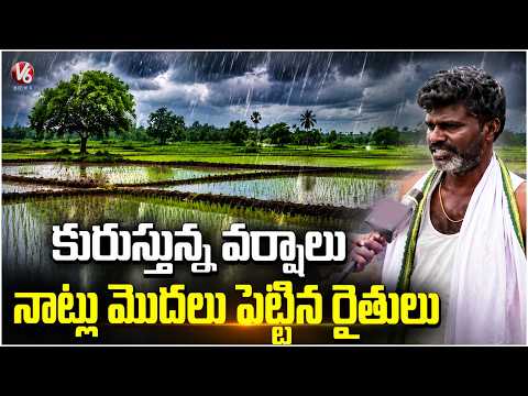 Farmers Started Planting Paddy Seedlings After Rains Across Telangana | V6 News - V6NEWSTELUGU