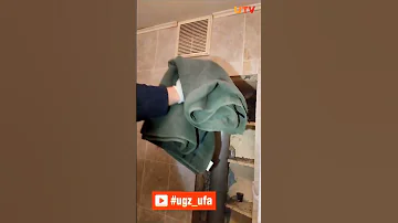 В Уфе куница залезла в квартиру и устроила погром #куница #погром #зверек